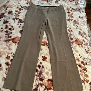 Dressed pant chino